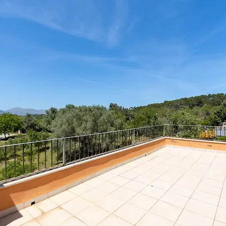Ideal Property Mallorca - Son Fe Alcudia (Mallorca)